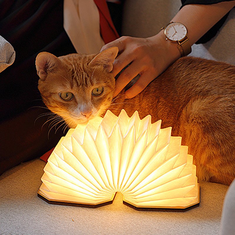 Lampe Accordéon LED Rechargeable