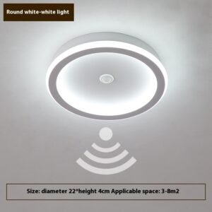 Plafonnier d'Induction Moderne en Laiton