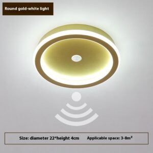 Plafonnier d'Induction Moderne en Laiton