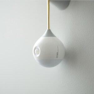 Applique Murale Solitaire en Bois de Noyer à Tige Dorée